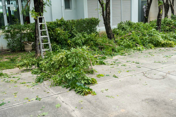 Best Organic Lawn Care Solutions  in Lake Camelot, WI