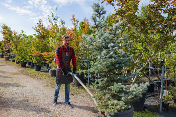 Best Soil Testing and Treatment  in Lake Camelot, WI
