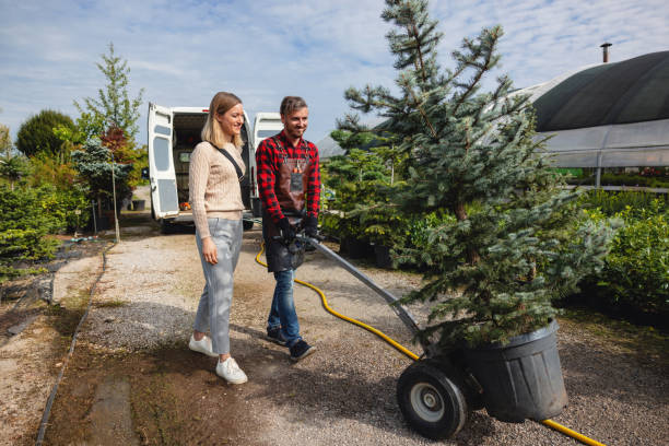 Best Utility Line Clearance  in Lake Camelot, WI